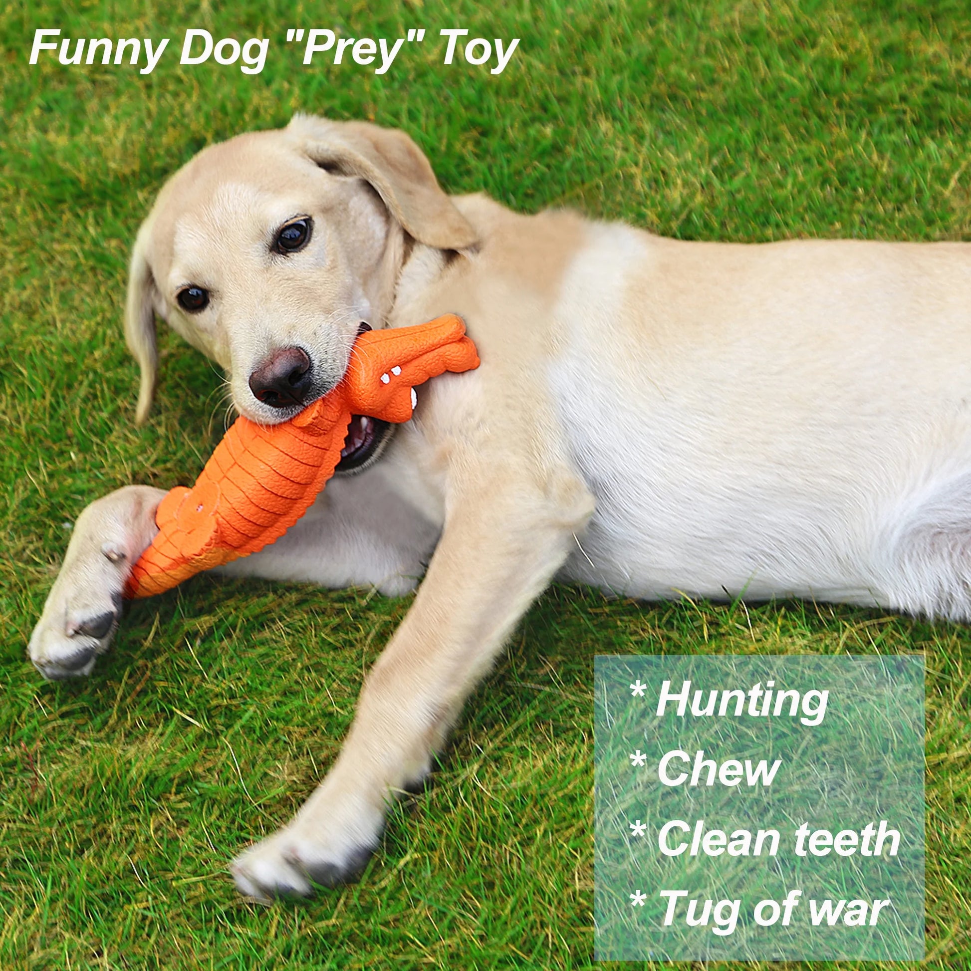 Durable Natural Rubber Squeaky Dog Toys for Aggressive Chewers - Interactive Crocodile Chew Toy for Teeth Cleaning, Ideal for Medium to Large Dogs